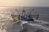 Fischkutter auf dem Wattenmeer