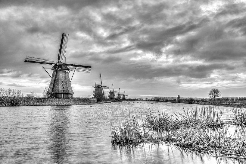 Die Mühlen von Kinderdijk, Niederlande, in schwarz-weiß von Gijs Rijsdijk