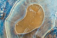 Résumé de Nature #7