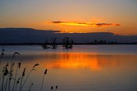 Zonsopkomst boven De Leyen