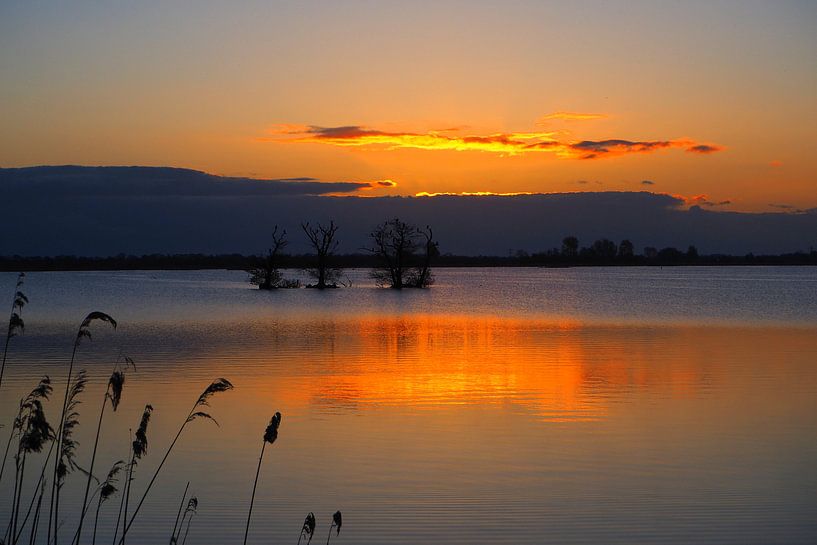 Zonsopkomst boven De Leyen von Wilco Berga