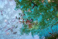 Leaves in a fountain