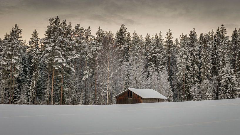 Verlaten schuur in de sneeuw by Jacco Bezuijen