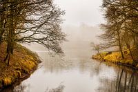 Foggy afternoon in Vogelenzang