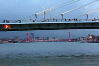 "Sous le pont Erasmus".