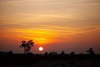 Sunset on the Veluwe