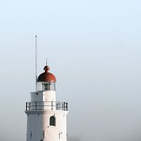 Das Pferd von Marken (Seestück)