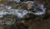 Mountain stream