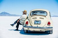 Symbiose zwischen cremeweißem Käfer und liebevollem Besitzer