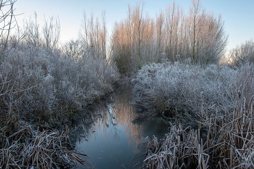 Autumn Landscapes Estate Her Pillars, Utrecht by Roland de Zeeuw