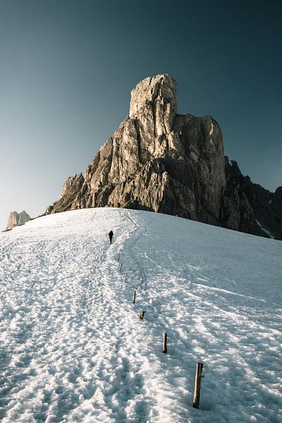Prendre de la hauteur par Joris Machholz