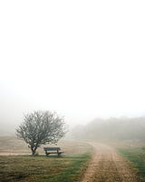 Ruhe und Frieden in Oranjezon