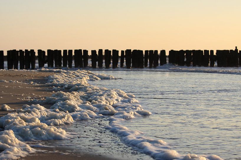 Plage de Westkapelle par MSP Canvas