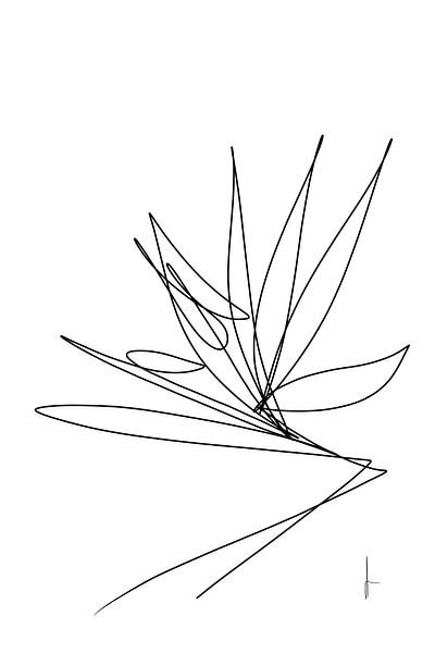 Paradiesvogel-Blüte von AnkieArt