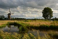 Molen in vreugdestand