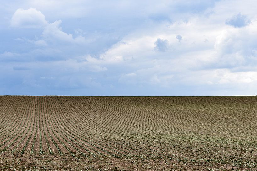 Akker landschap par Gonnie van Hove