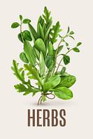 Kruiden Keuken Poster