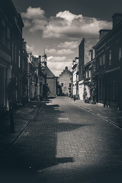 Village road (Culemborg) von Alessia Peviani