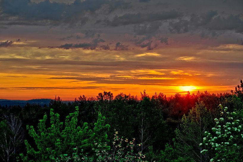 Le soleil embrasse la forêt par Roith Fotografie