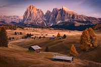 Alpe di Siusi in the dolomites during autumn