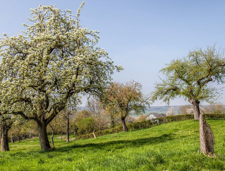Geultal bei Cottessen von John Kreukniet