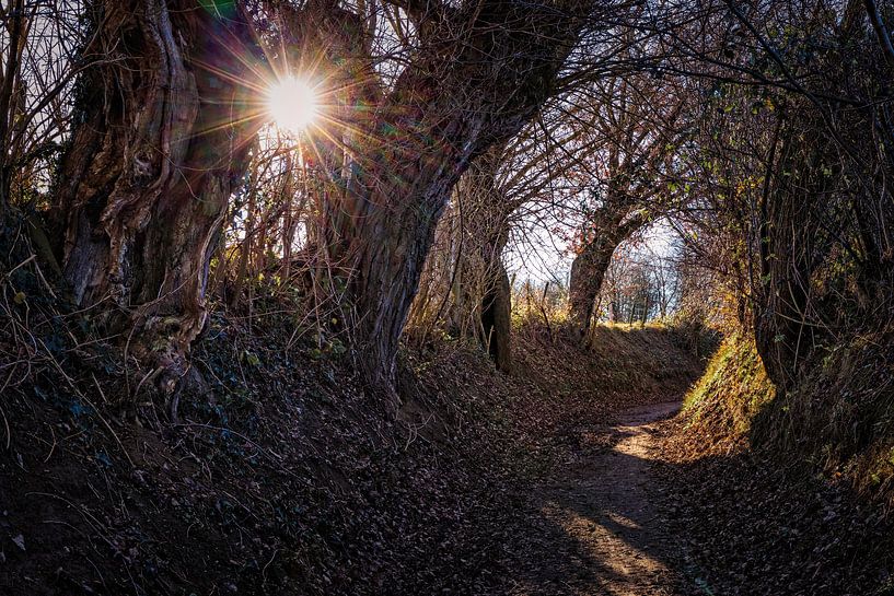 Hohle Straße von Rob Boon