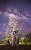 Galaxie Baobab