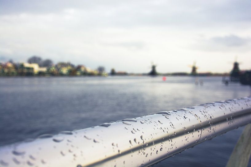 Ein alternativer Blick über die Zaan von Zaankanteropavontuur