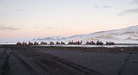 Quad ride on volcanic beach in Iceland