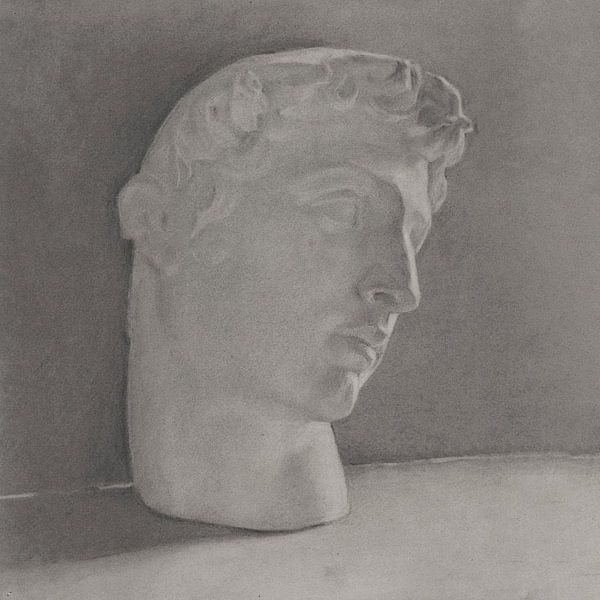 Study of a Roman head by Affect Fotografie