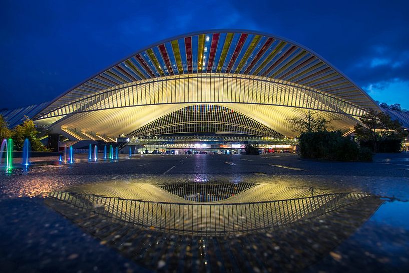 Bahnhof Lüttich von Antwan Janssen