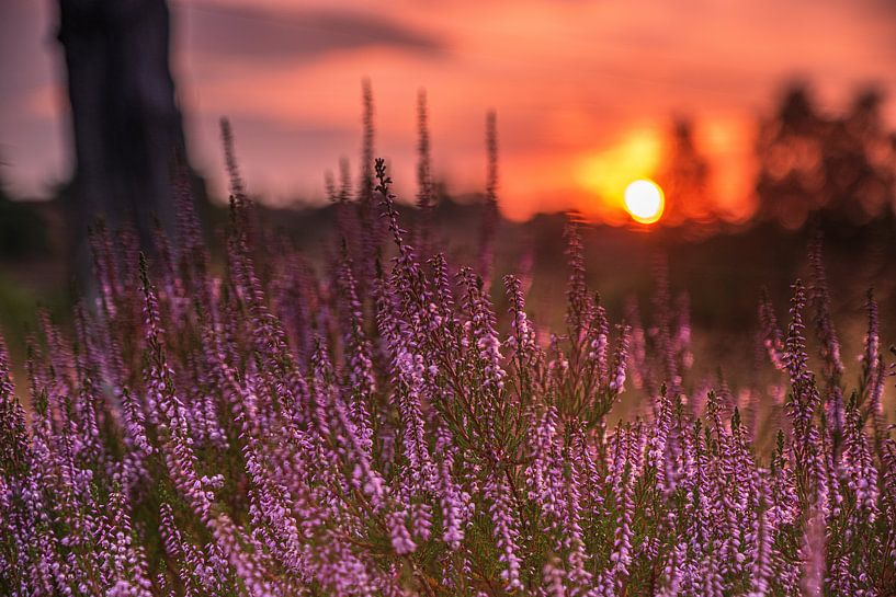 Radenbachtal von Dieter Rabenstein