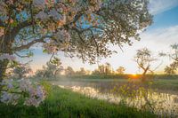 Arbeiten auf dem Groeneweg bei Sonnenaufgang