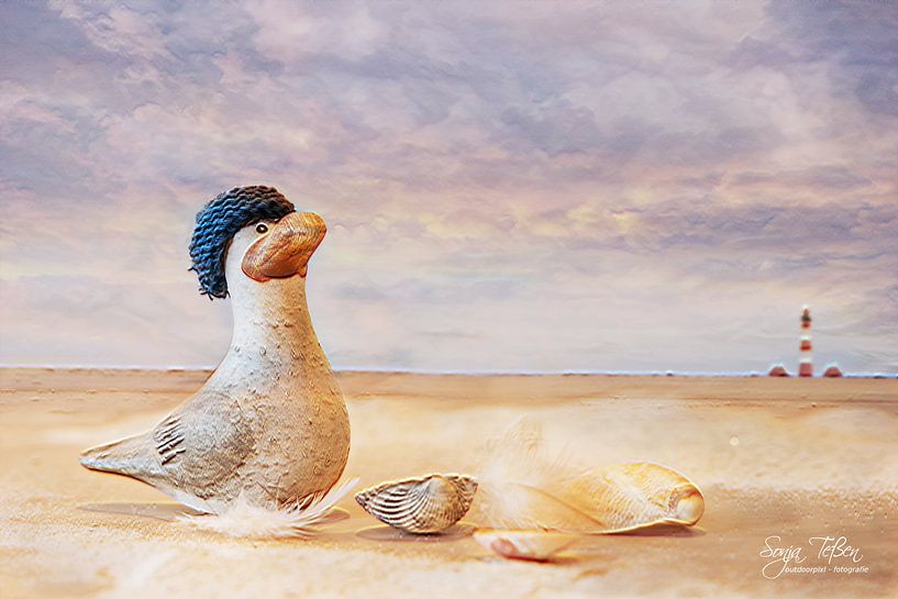 Mouette sur la plage par Sonja Tessen