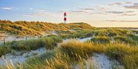 Sylt II
