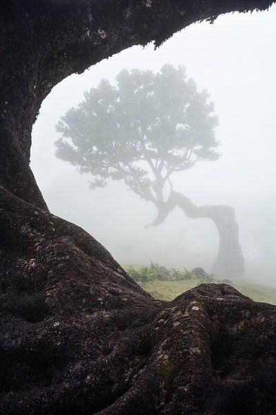 Fanal mourant par Martin Podt