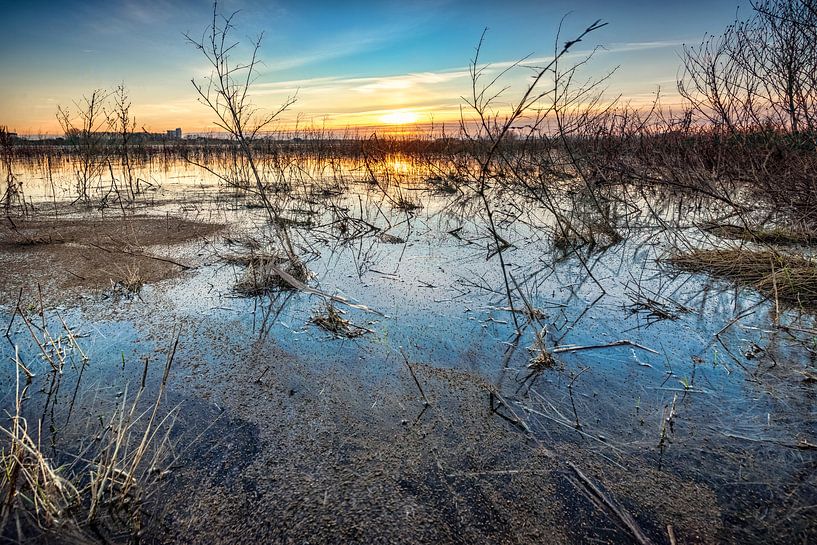 Landscape of flood plain And Sky with sunset on background by Fotografiecor .nl