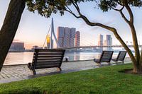 Nebliger Morgen an der Maas