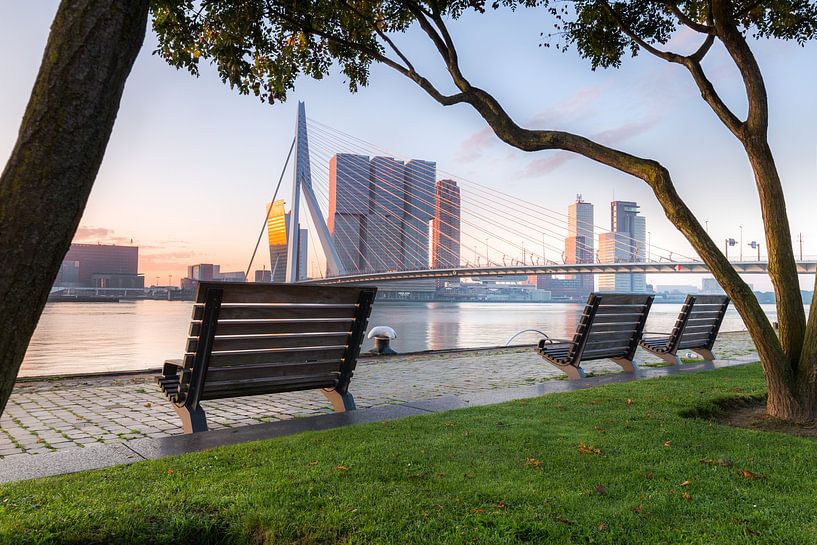 Matin brumeux à la Meuse par Prachtig Rotterdam