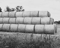 Das ist "sich sträuben".