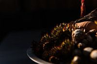 Sonnenlicht im Garten