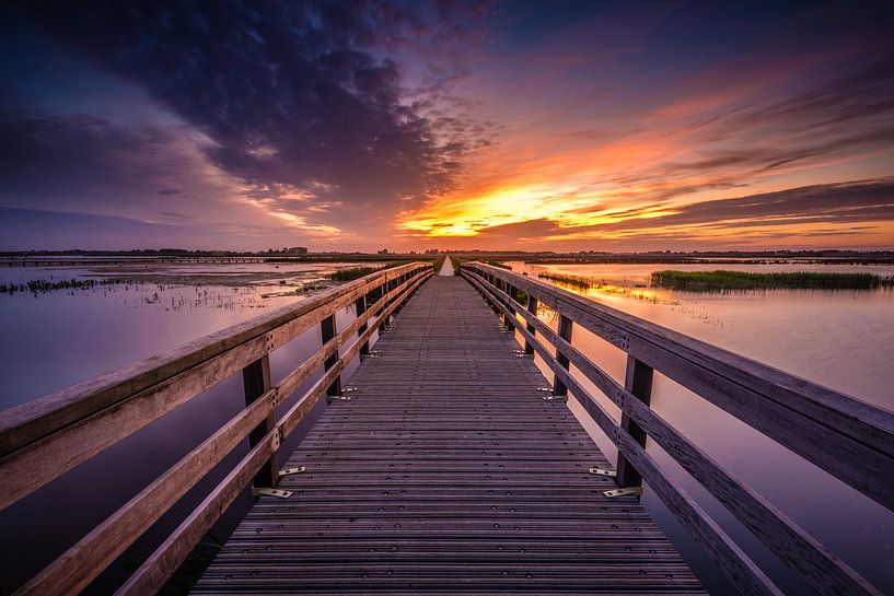 Wander- und Fahrradbrücke 't Roegwold von Arjan Battjes