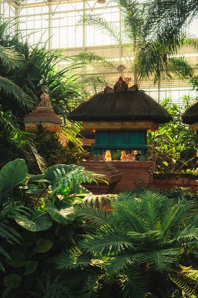 Botanische Oase: Tropischer Balischrein im Gewächshaus von NZME Photography