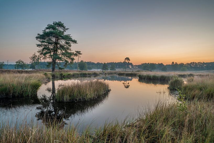 Hatertse moors by Peter Bijsterveld