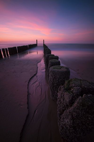 Terra Maris von Ruben Van der Sanden