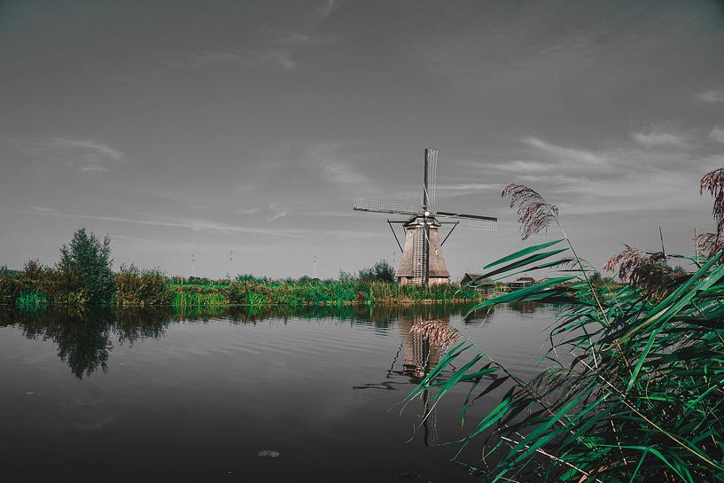 Moulin par Lili's Photography