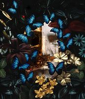 Danse des papillons et mortalité