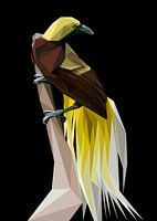 Paradiesvogel Gelber Schwanz Abstrakt Low Poly