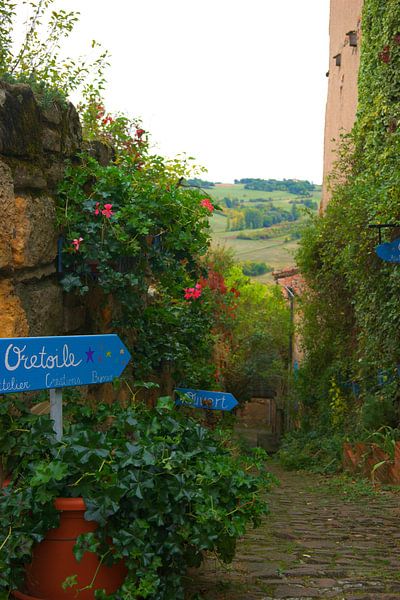 Flourfull path in Cordes-sur-Ciel, Tarn, France by Atelier Liesjes