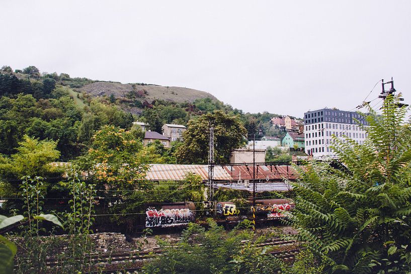 Green track with graffiti by Emma Niemans